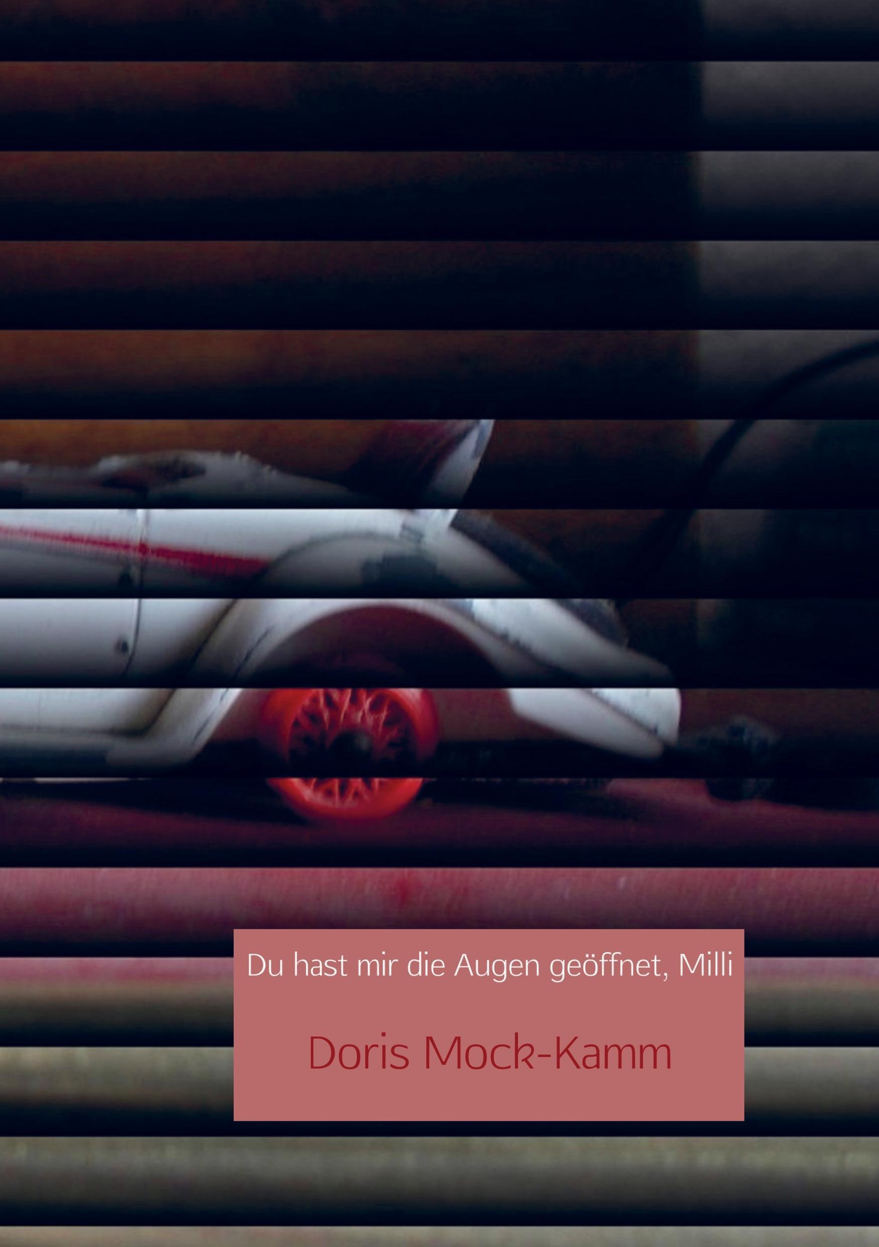 Vorderes Coverbild Du hast mir die Augen geöffnet, Milli