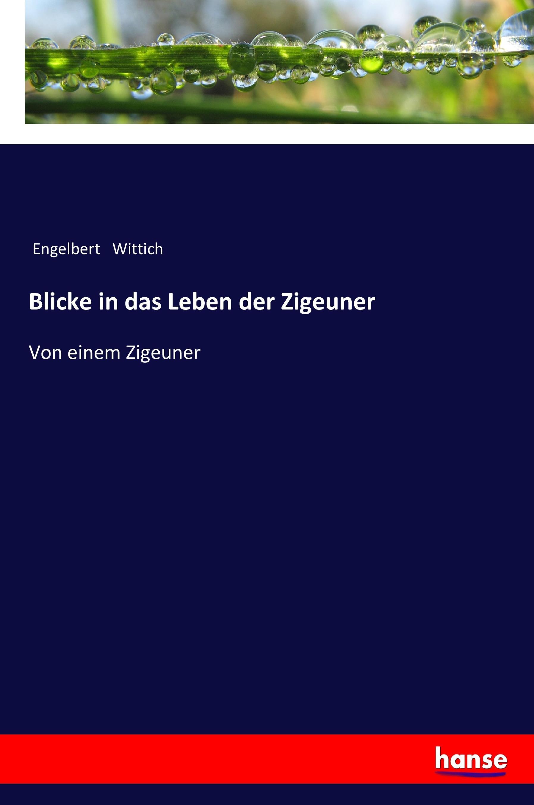 Vorderes Coverbild Blicke in das Leben der Zigeuner