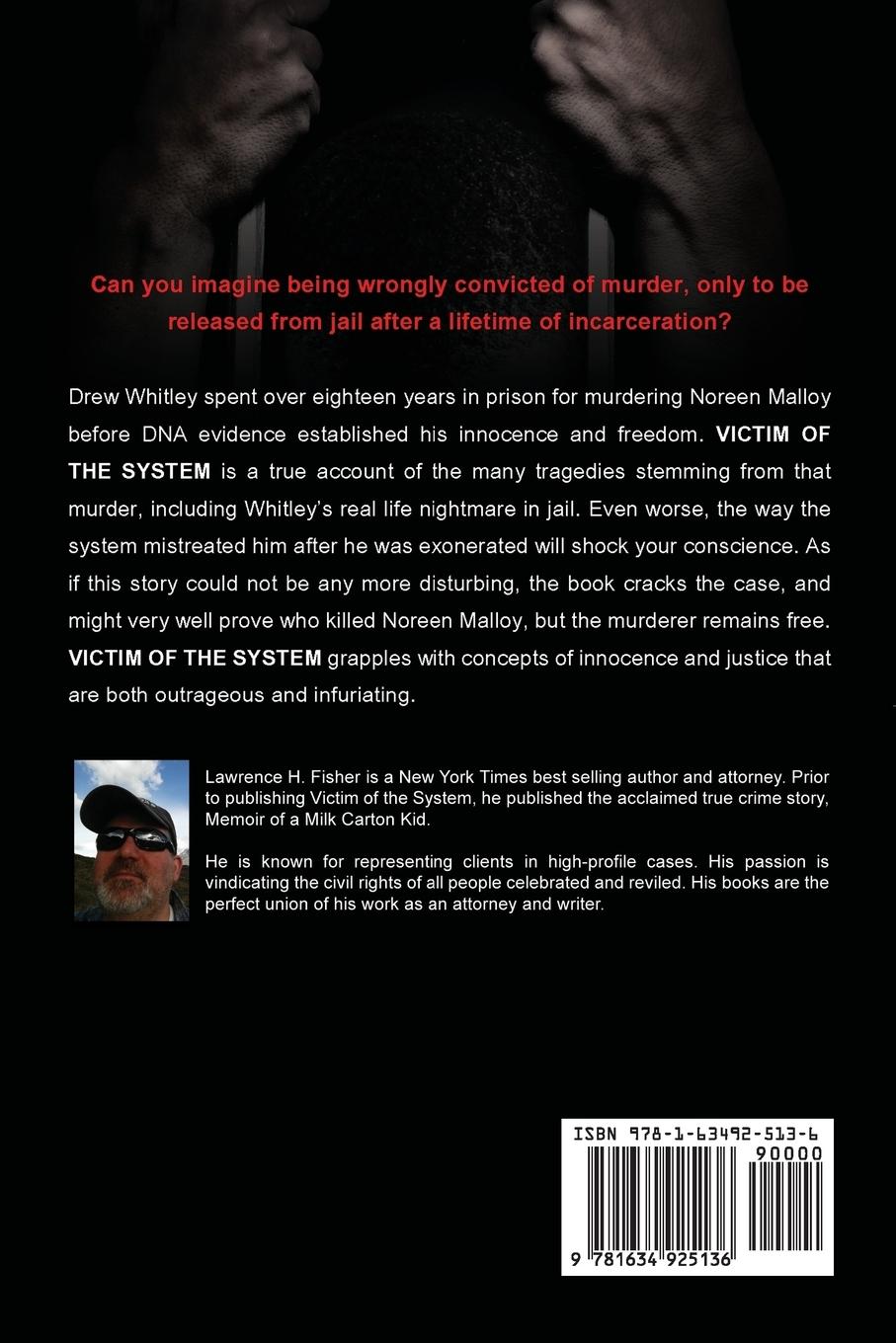 Rückseitencover Victim of the System