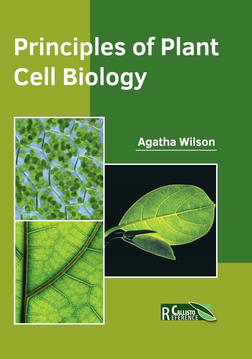 Vorderes Coverbild Principles of Plant Cell Biology