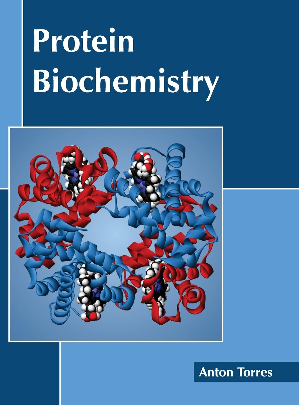 Vorderes Coverbild Protein Biochemistry
