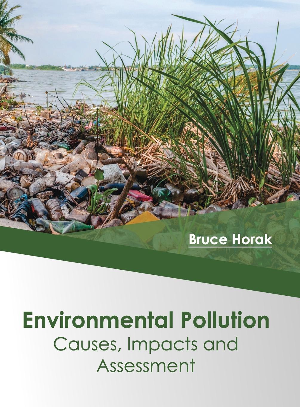 Vorderes Coverbild Environmental Pollution: Causes, Impacts and Assessment
