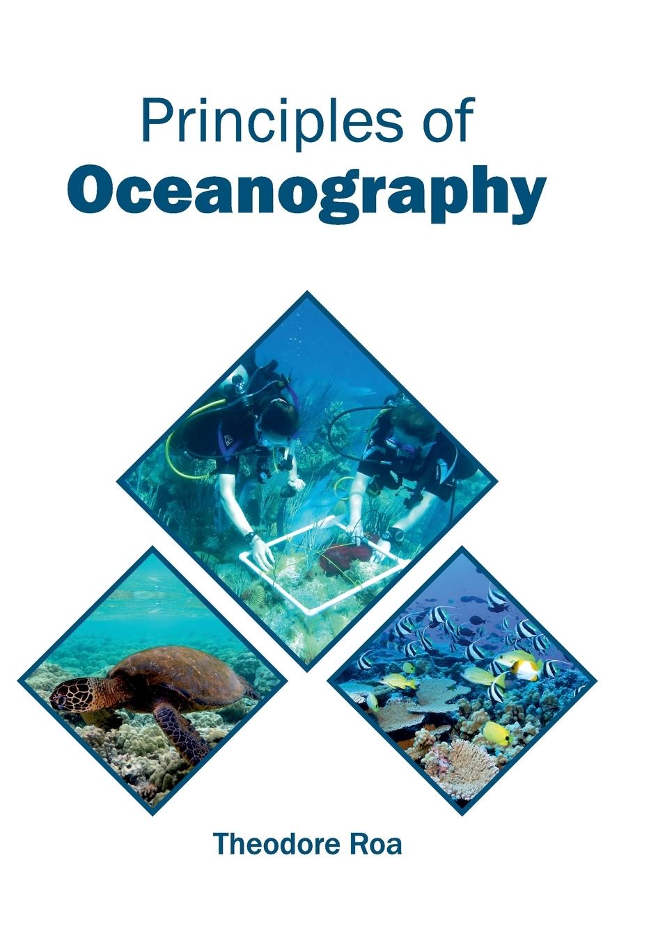Vorderes Coverbild Principles of Oceanography