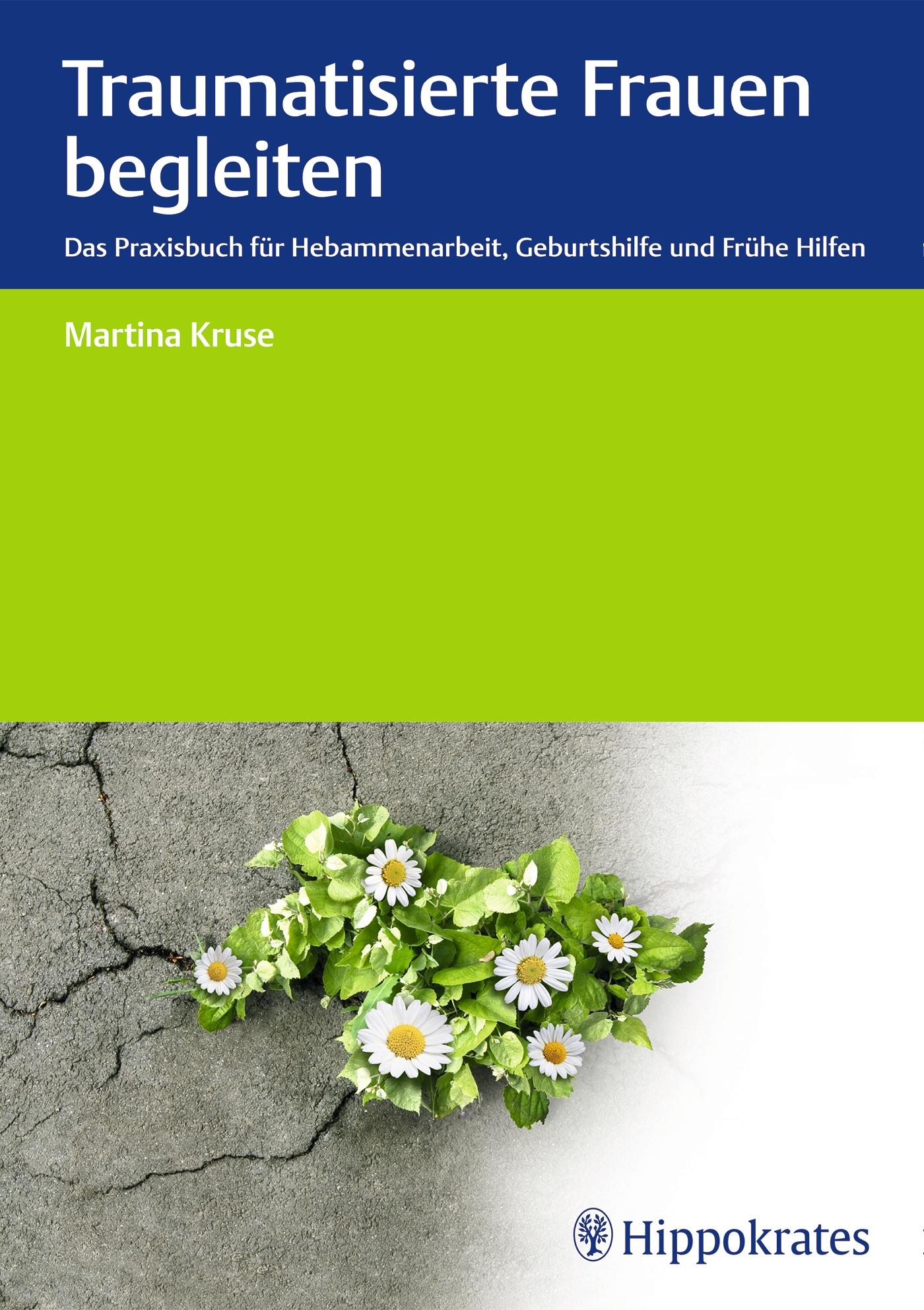 Vorderes Coverbild Traumatisierte Frauen begleiten