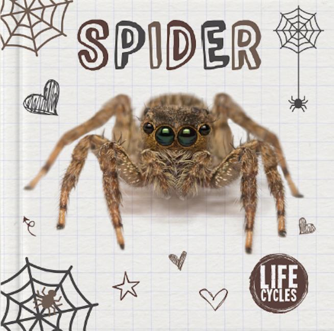 Vorderes Coverbild Spider