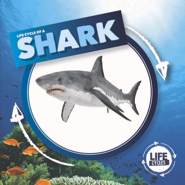 Vorderes Coverbild Shark