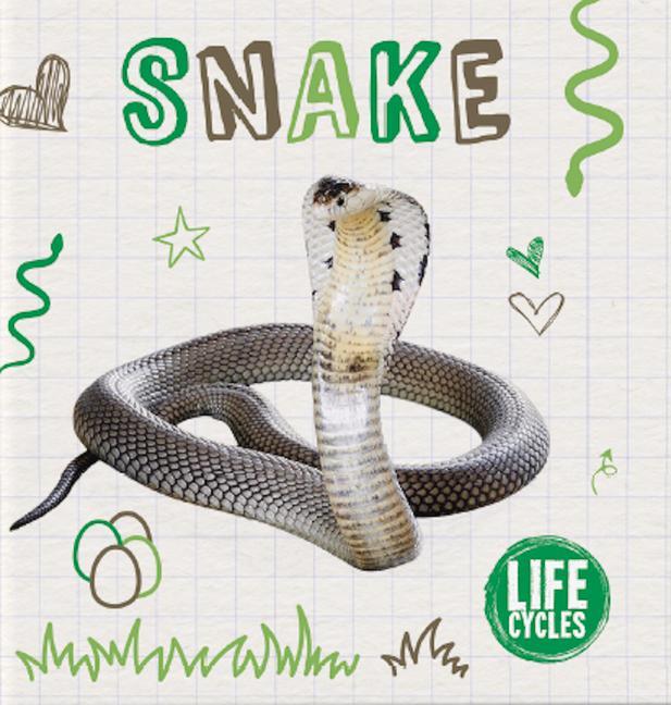 Vorderes Coverbild Snake