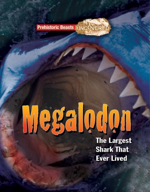 Vorderes Coverbild Megalodon