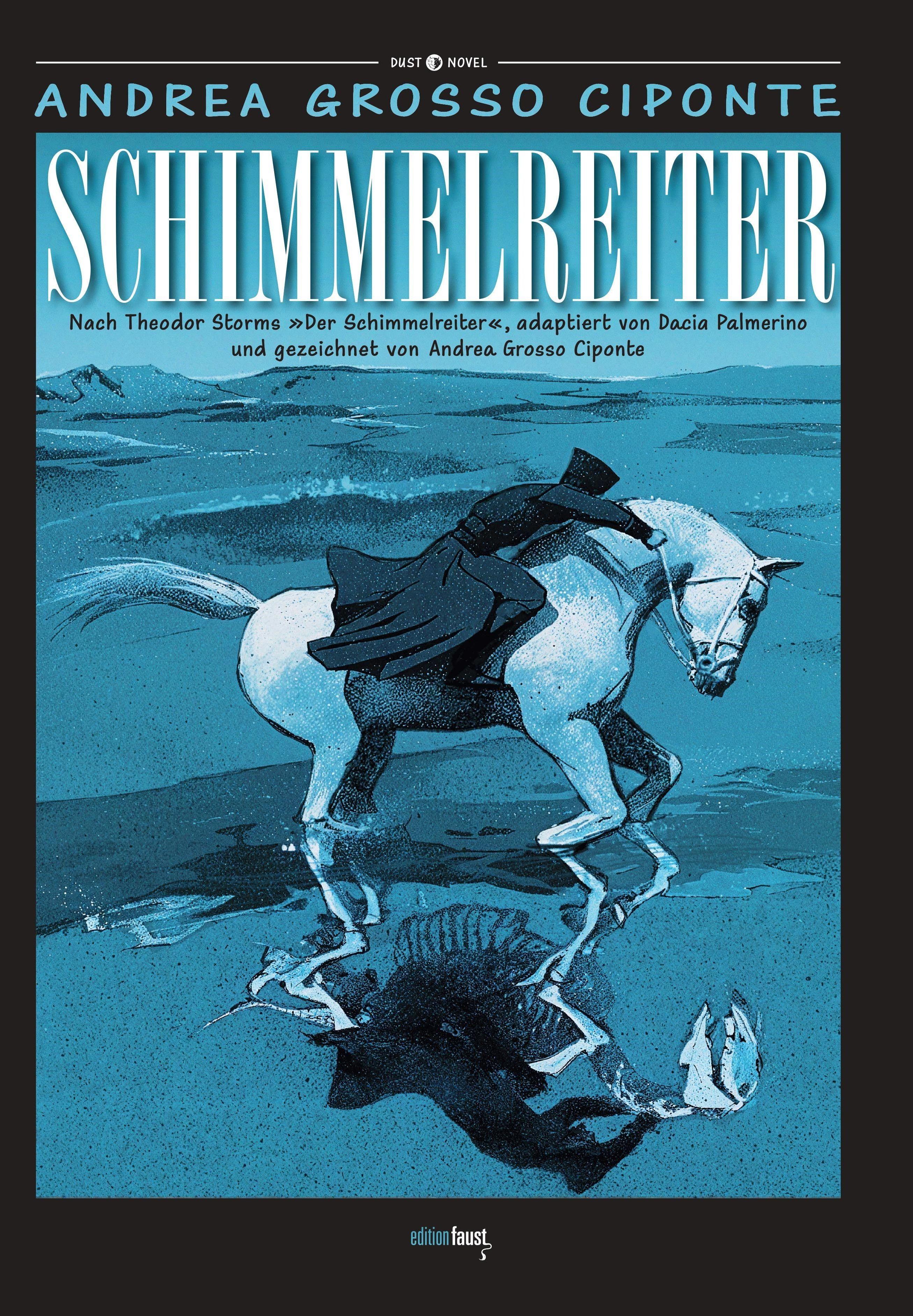 Vorderes Coverbild Schimmelreiter