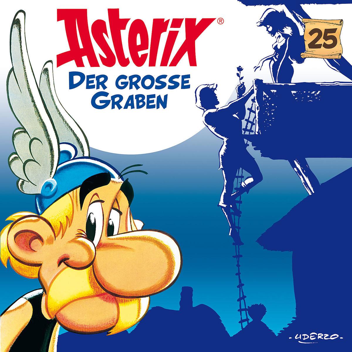 Vorderes Coverbild 25: Der groáe Graben
