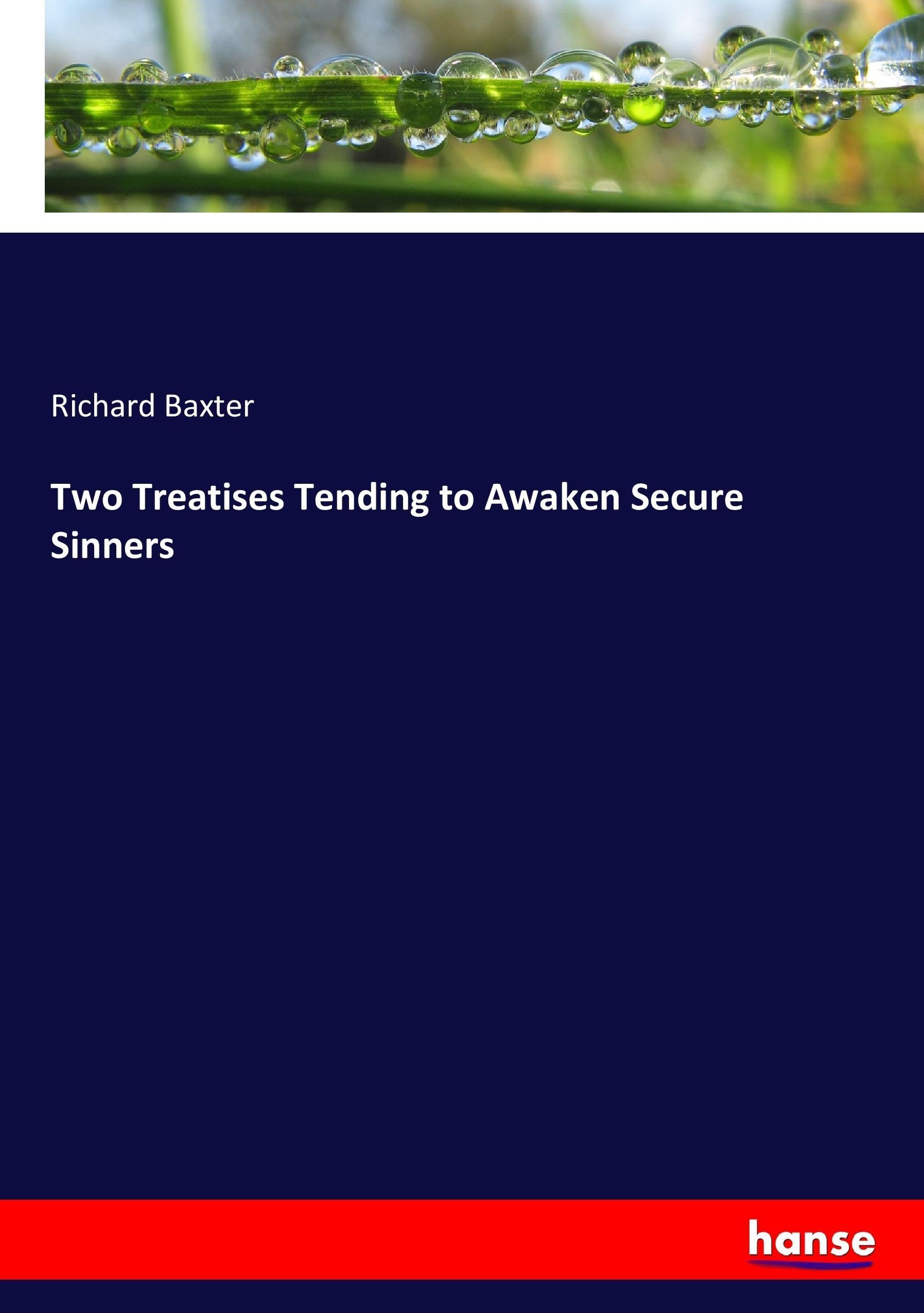Vorderes Coverbild Two Treatises Tending to Awaken Secure Sinners