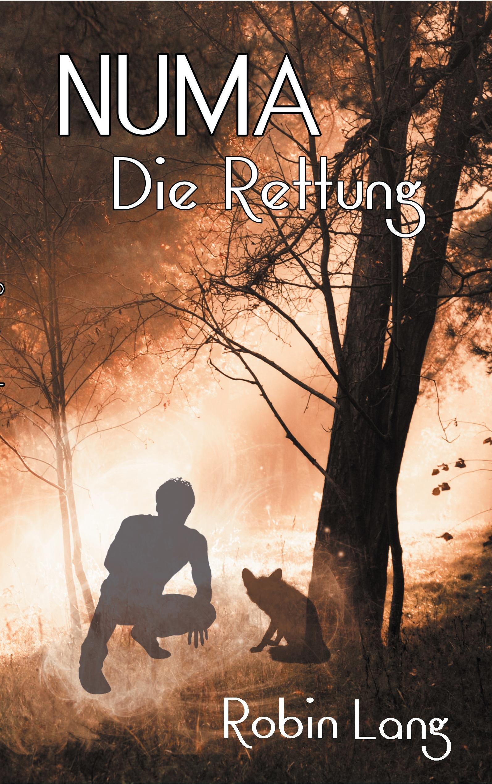 Vorderes Coverbild Numa