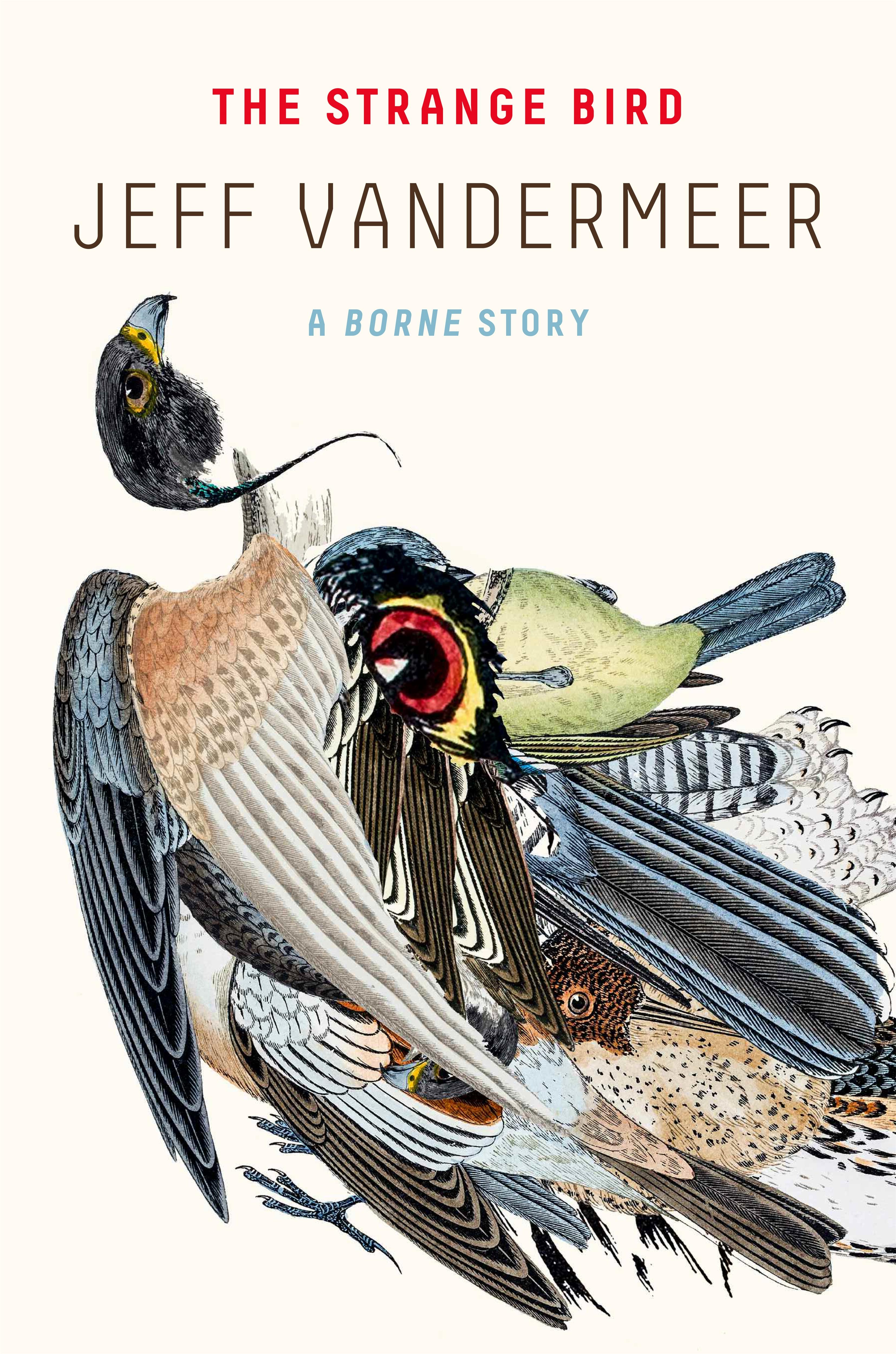 Vorderes Coverbild The Strange Bird