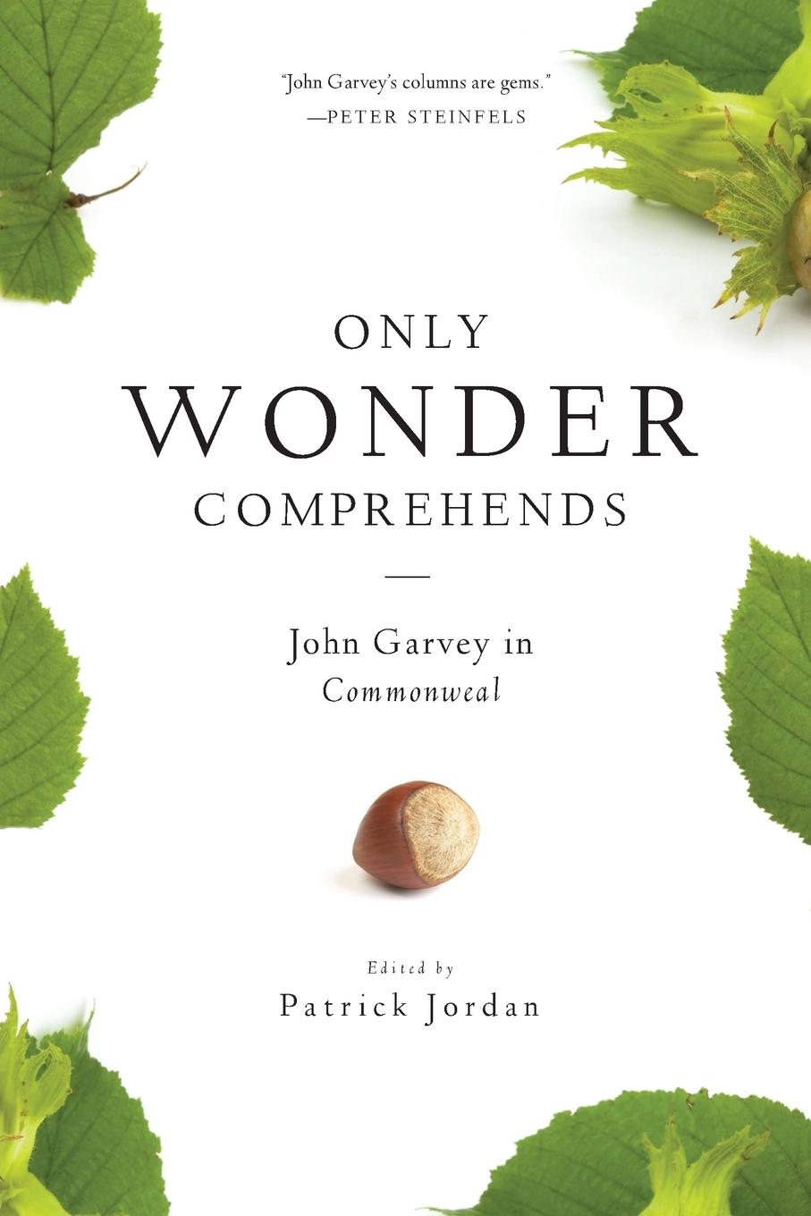 Vorderes Coverbild Only Wonder Comprehends