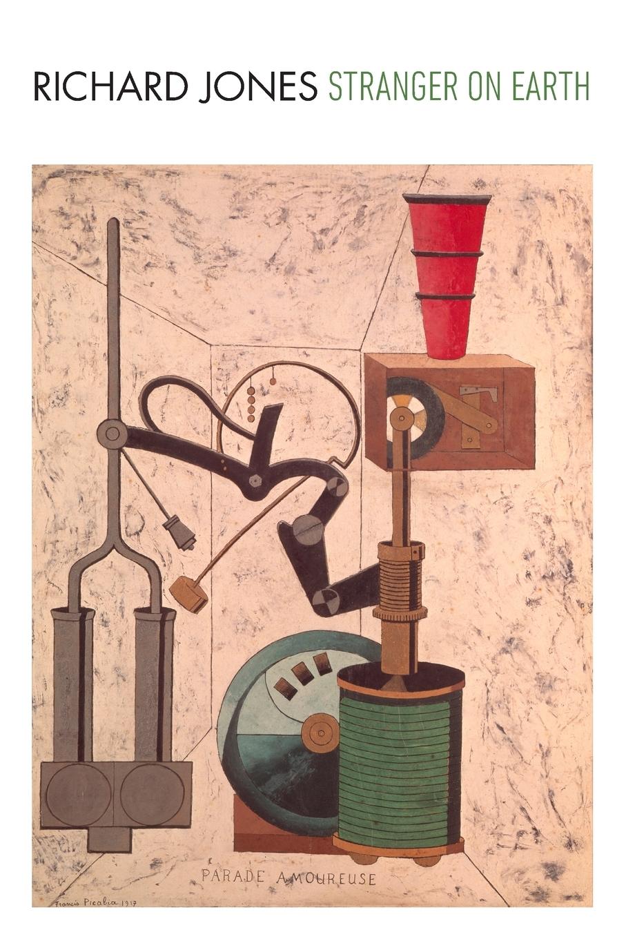 Vorderes Coverbild Stranger on Earth