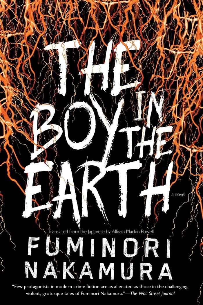 Vorderes Coverbild The Boy in the Earth