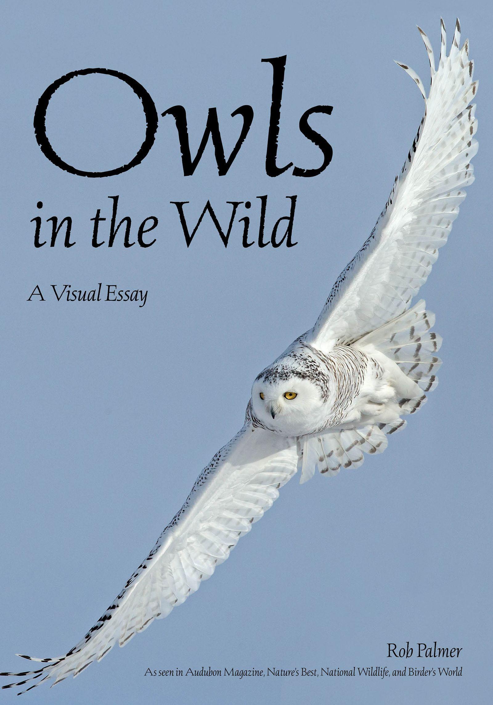 Vorderes Coverbild Owls in the Wild