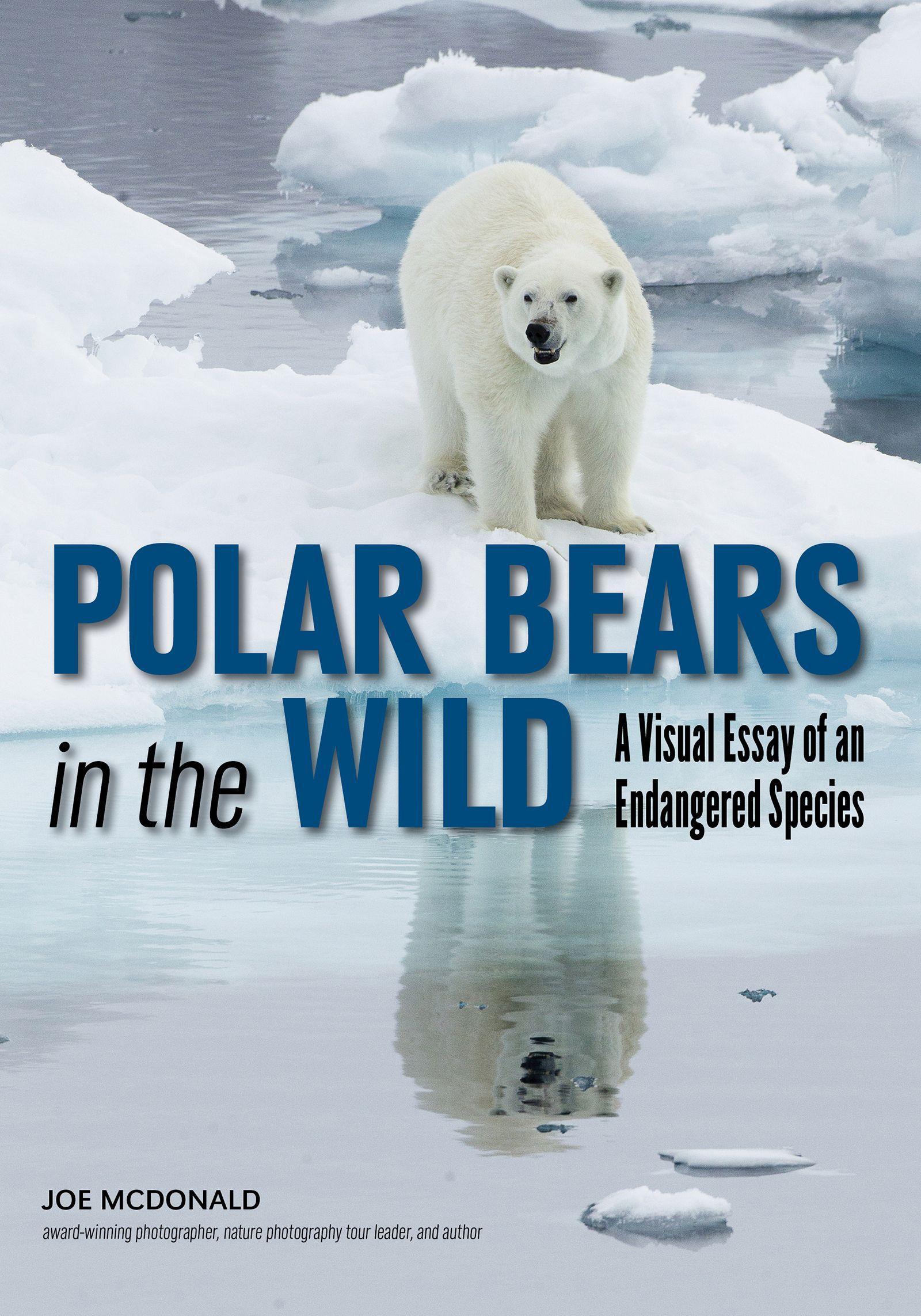 Vorderes Coverbild Polar Bears in the Wild