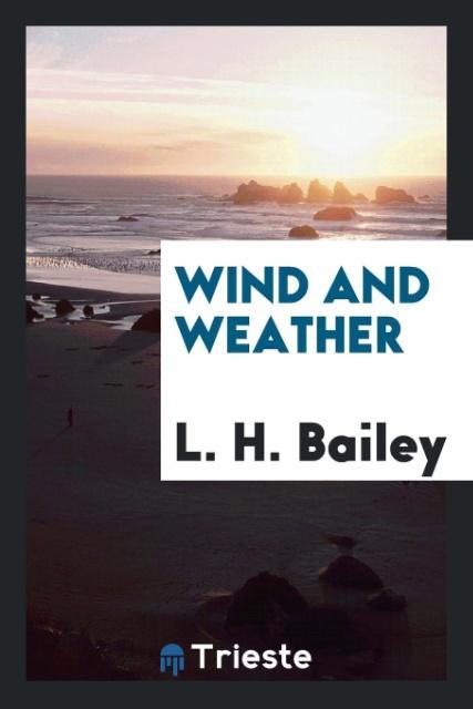 Vorderes Coverbild Wind and weather
