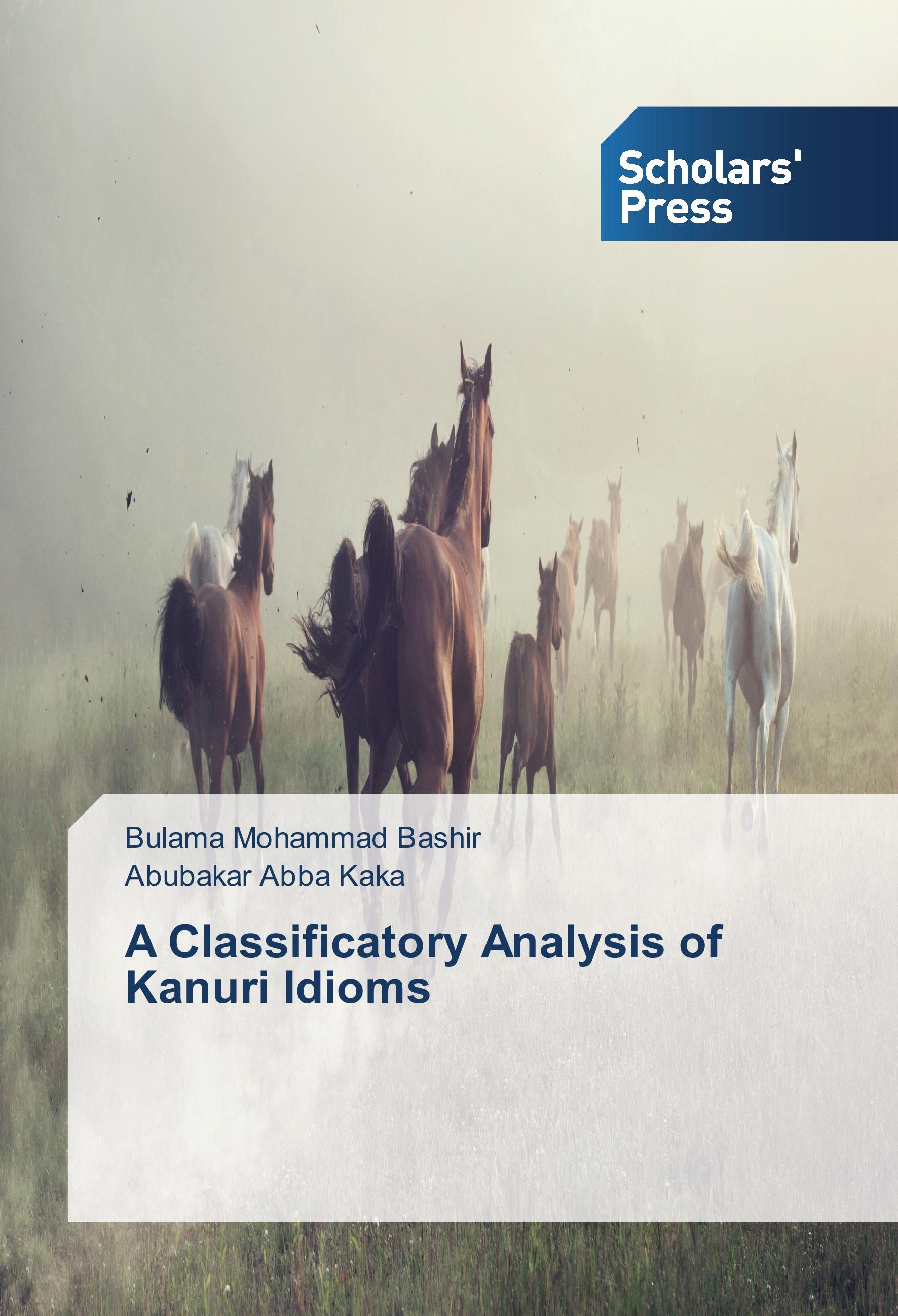 Vorderes Coverbild A Classificatory Analysis of Kanuri Idioms