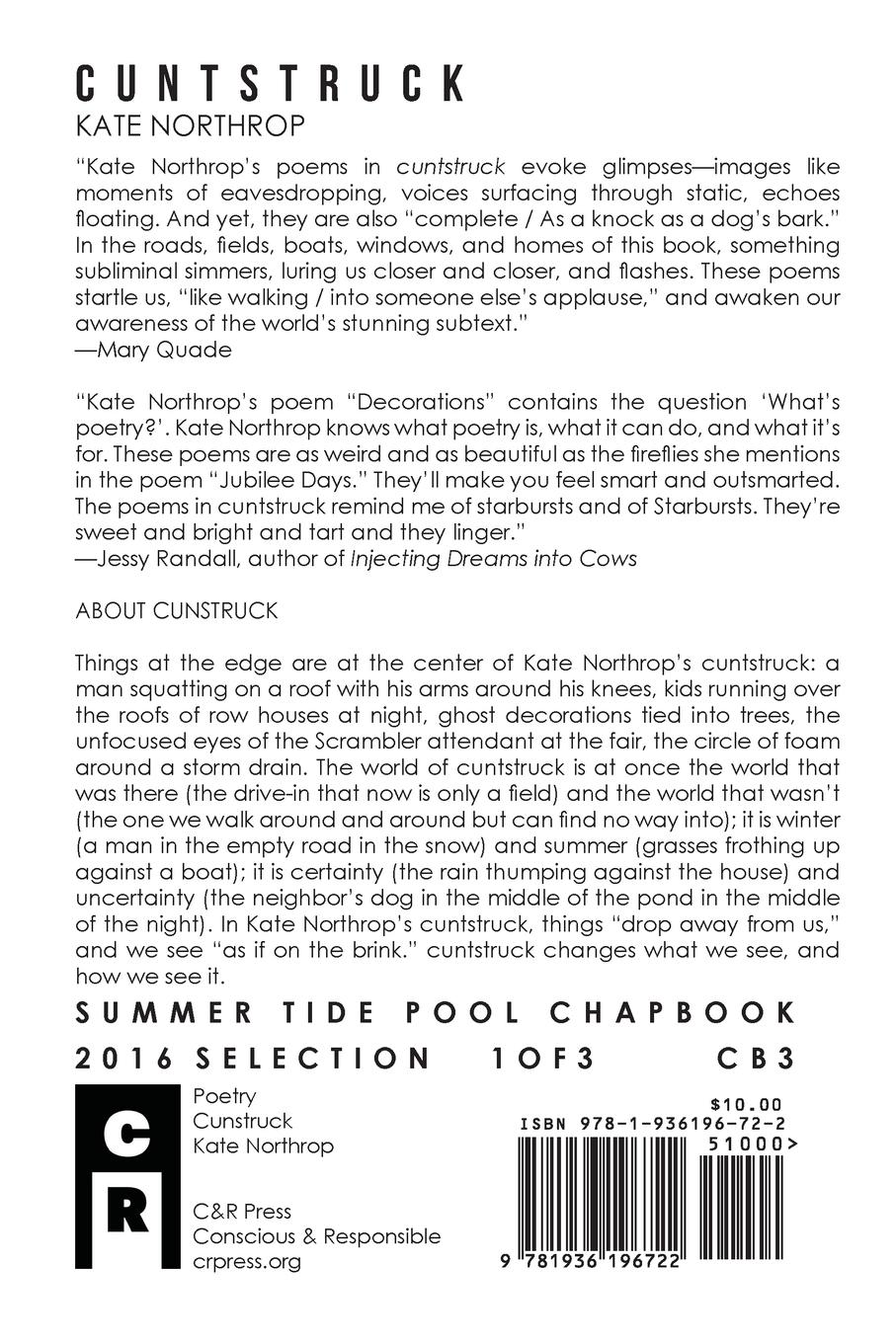 Rückseitencover cuntstruck