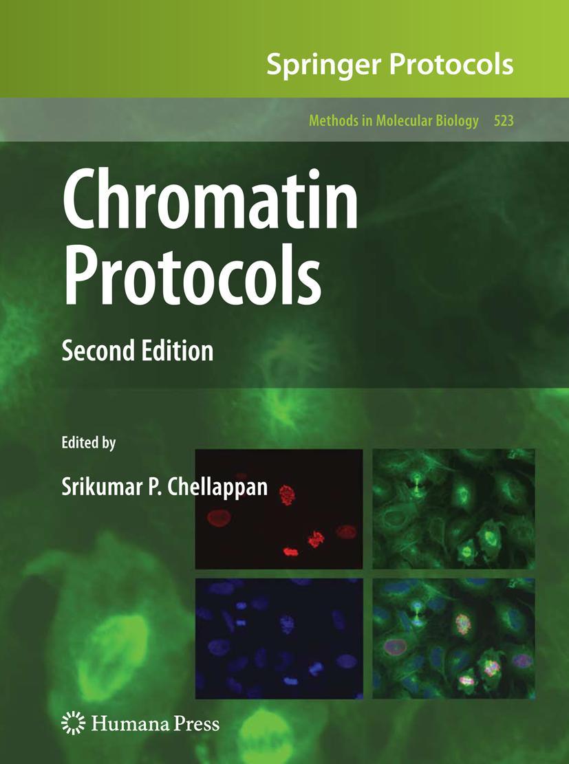 Vorderes Coverbild Chromatin Protocols