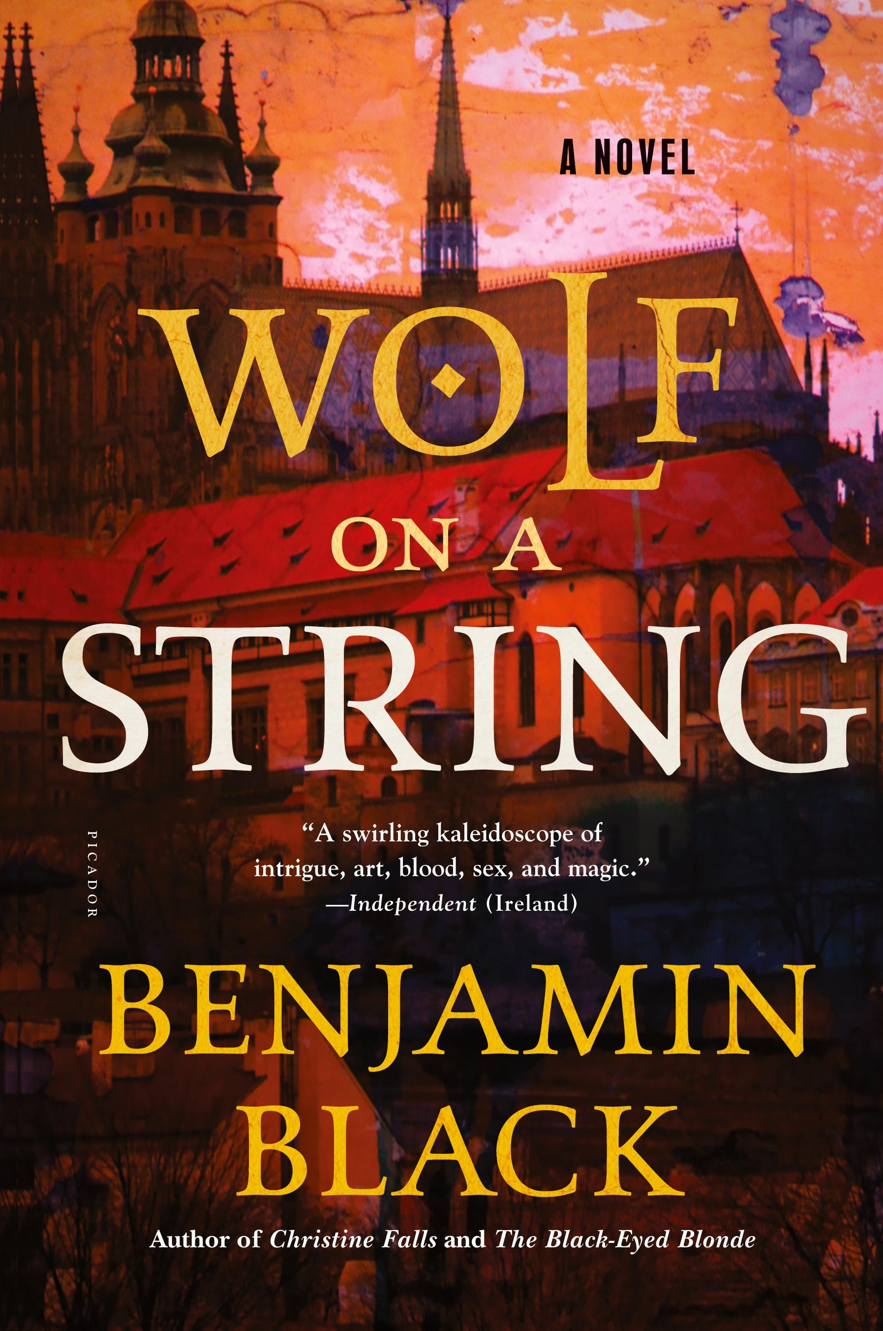 Vorderes Coverbild Wolf on a String