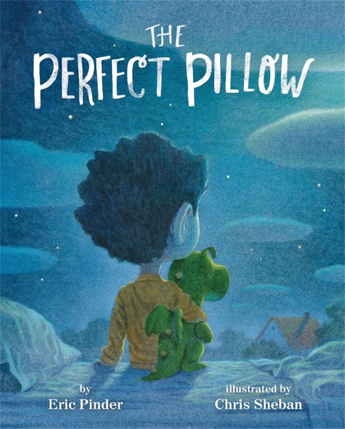 Vorderes Coverbild The Perfect Pillow