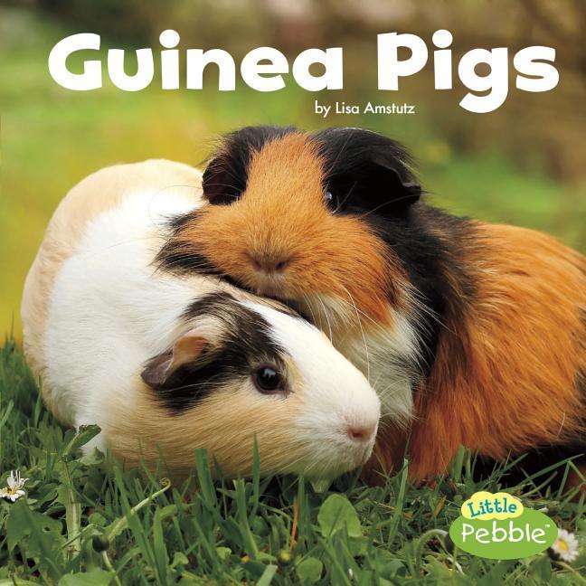 Vorderes Coverbild Guinea Pigs