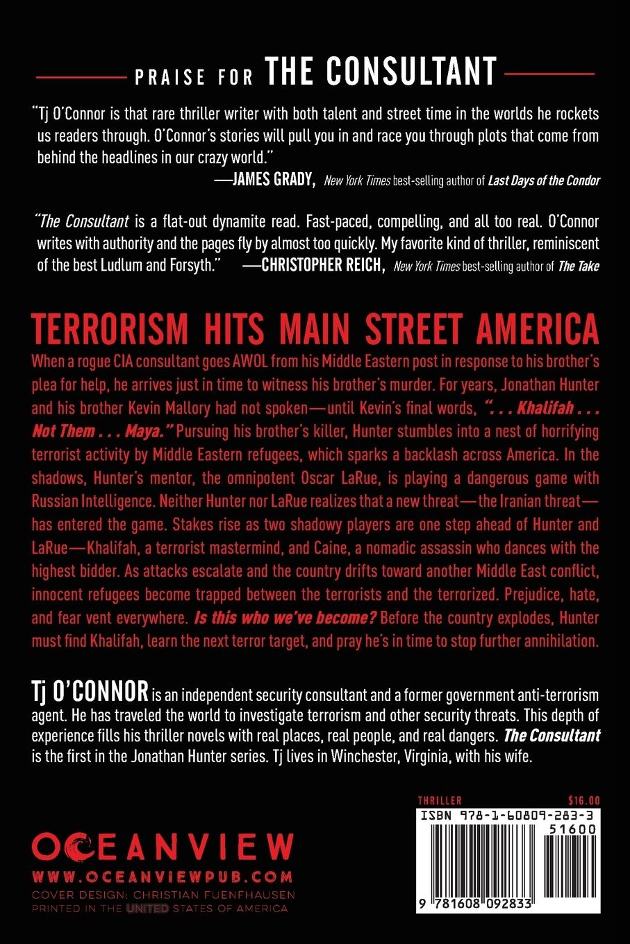 Rückseitencover The Consultant