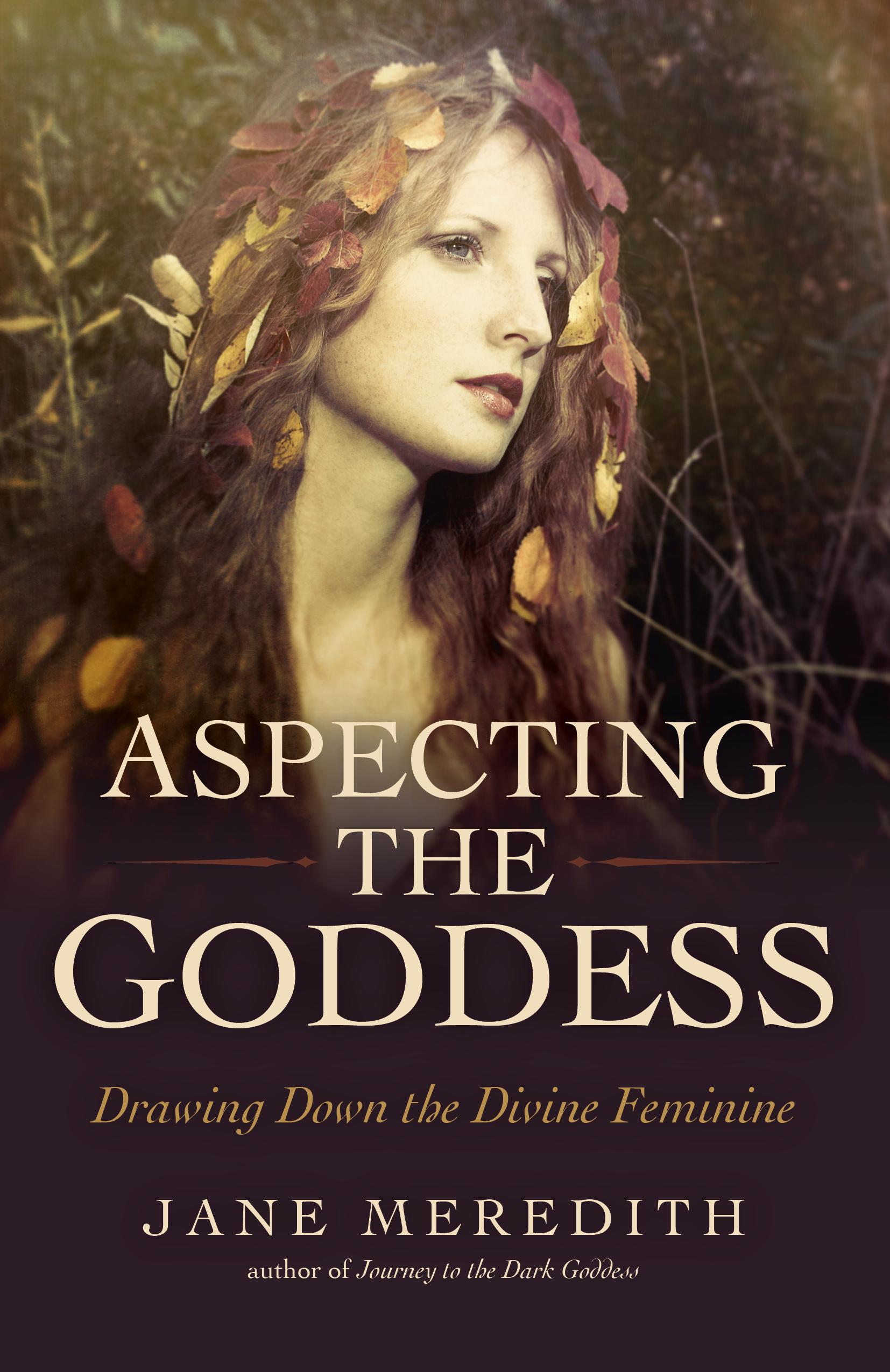 Vorderes Coverbild Aspecting the Goddess