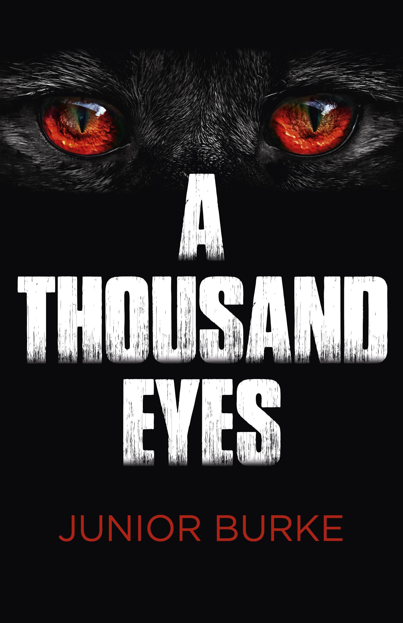 Vorderes Coverbild A Thousand Eyes