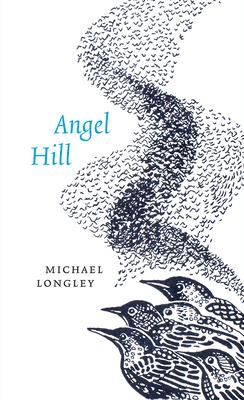 Vorderes Coverbild Angel Hill