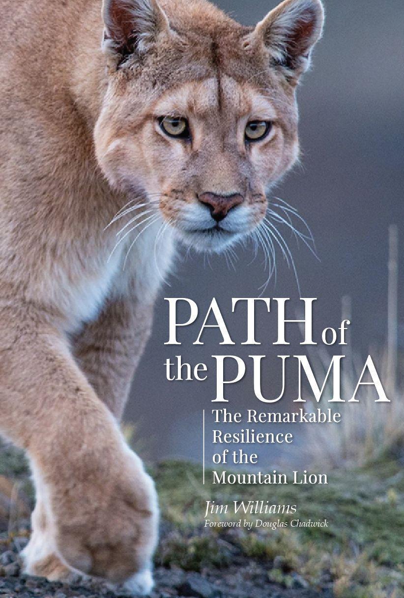 Vorderes Coverbild Path of the Puma