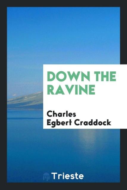 Vorderes Coverbild Down the ravine