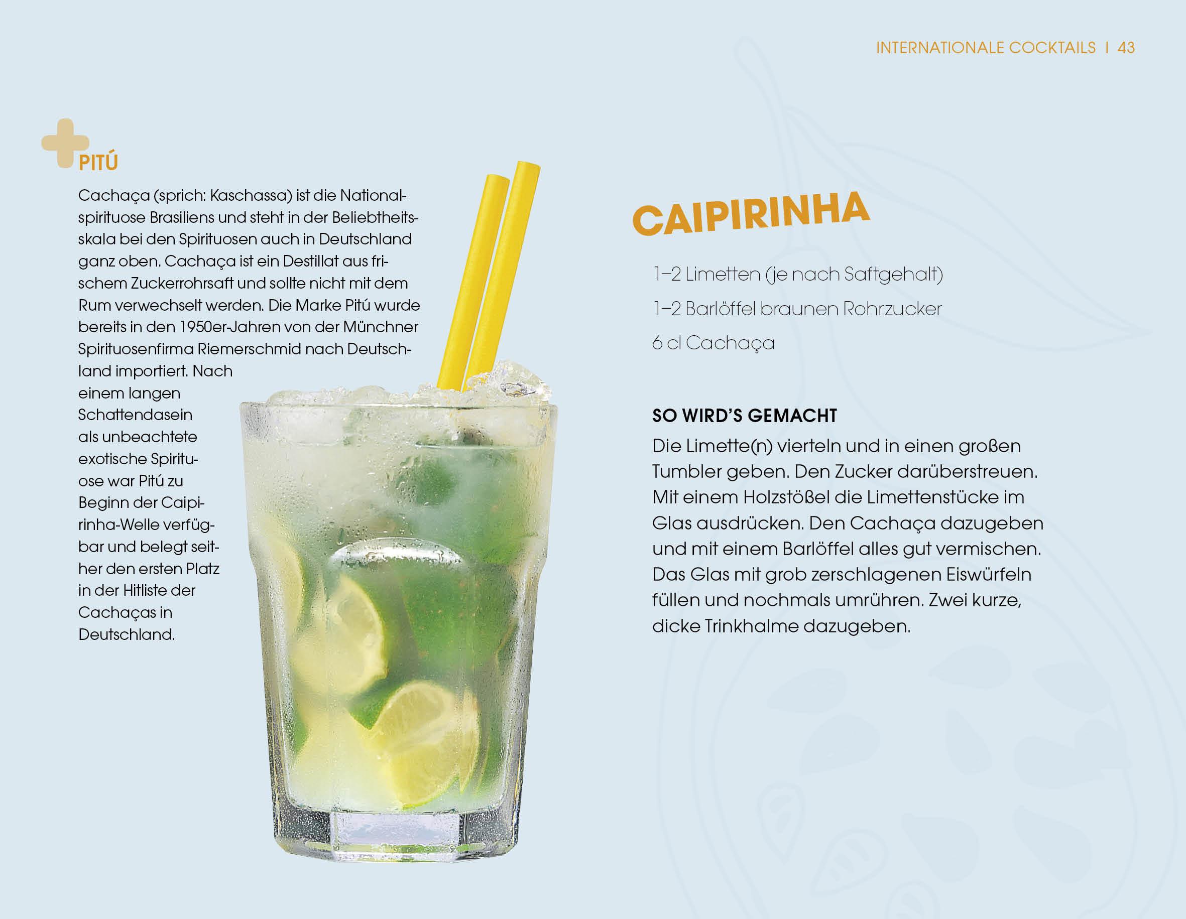 Beispielinhalt (Bild) Best of Cocktails mit Alkohol