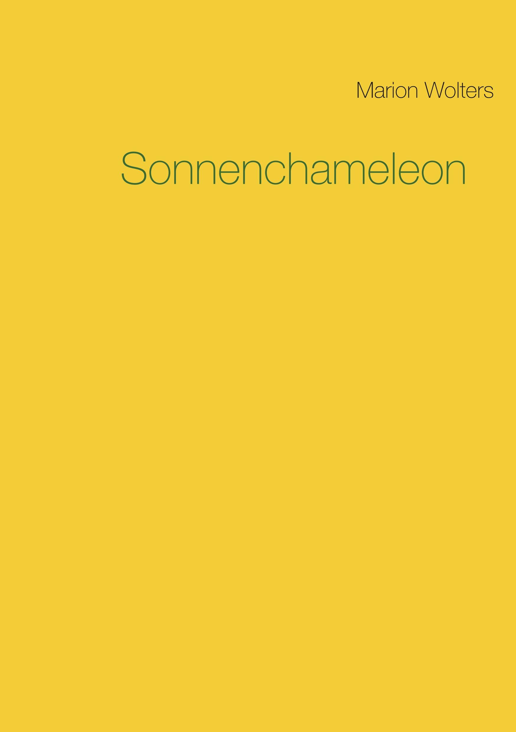 Vorderes Coverbild Miss Mink's soldier and other stories