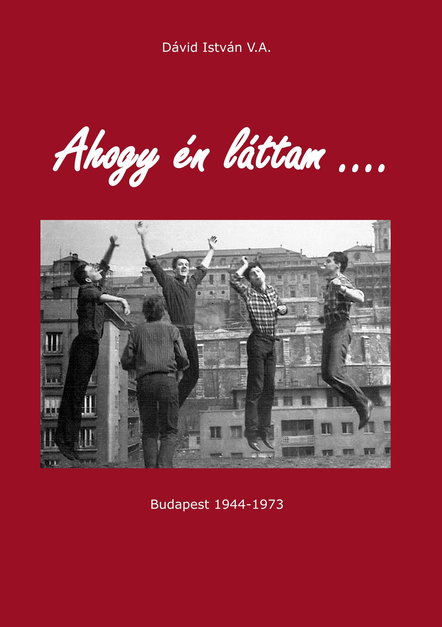 Vorderes Coverbild As it was written