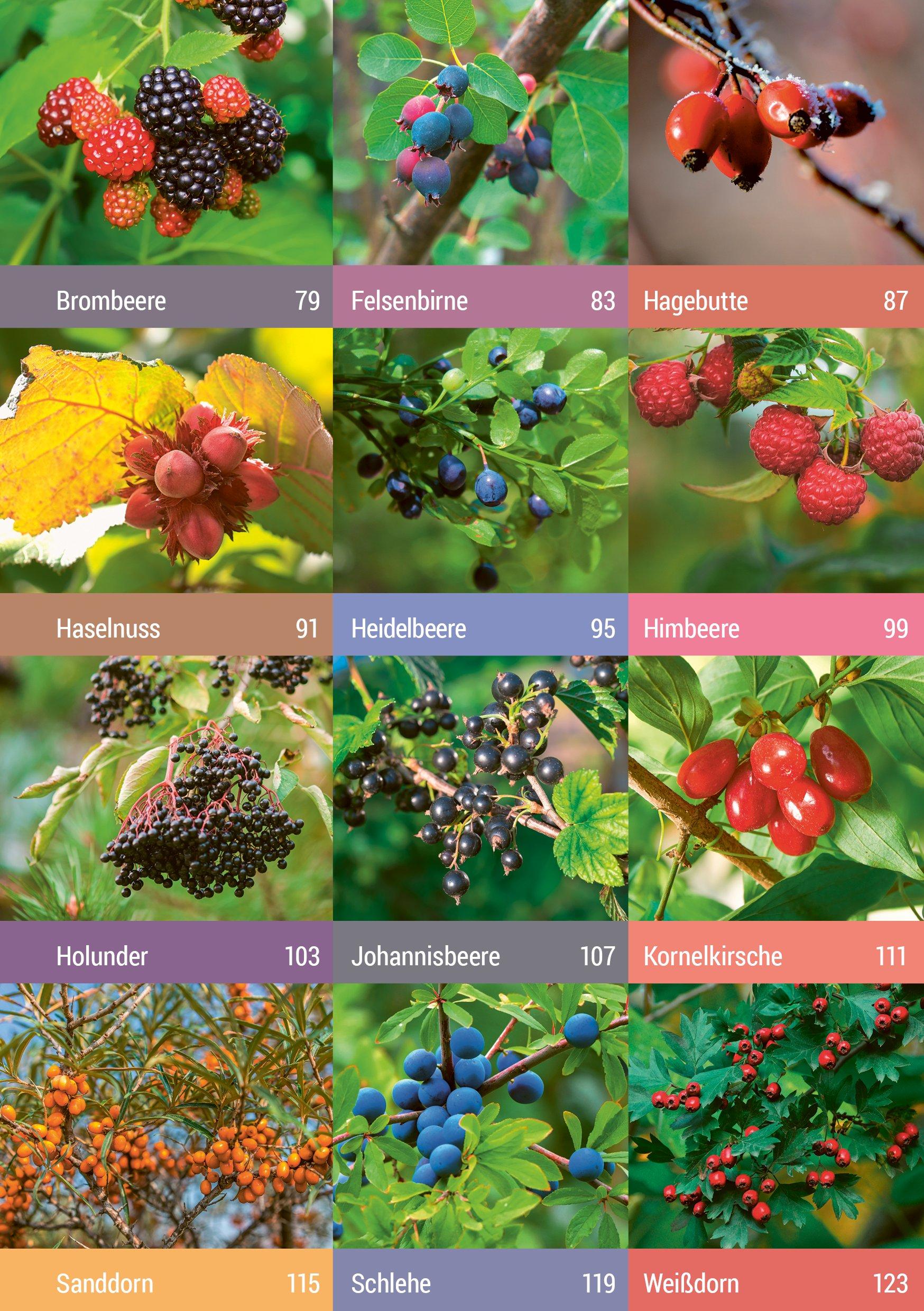 Beispielinhalt (Bild) Geh raus! Deine Stadt ist essbar