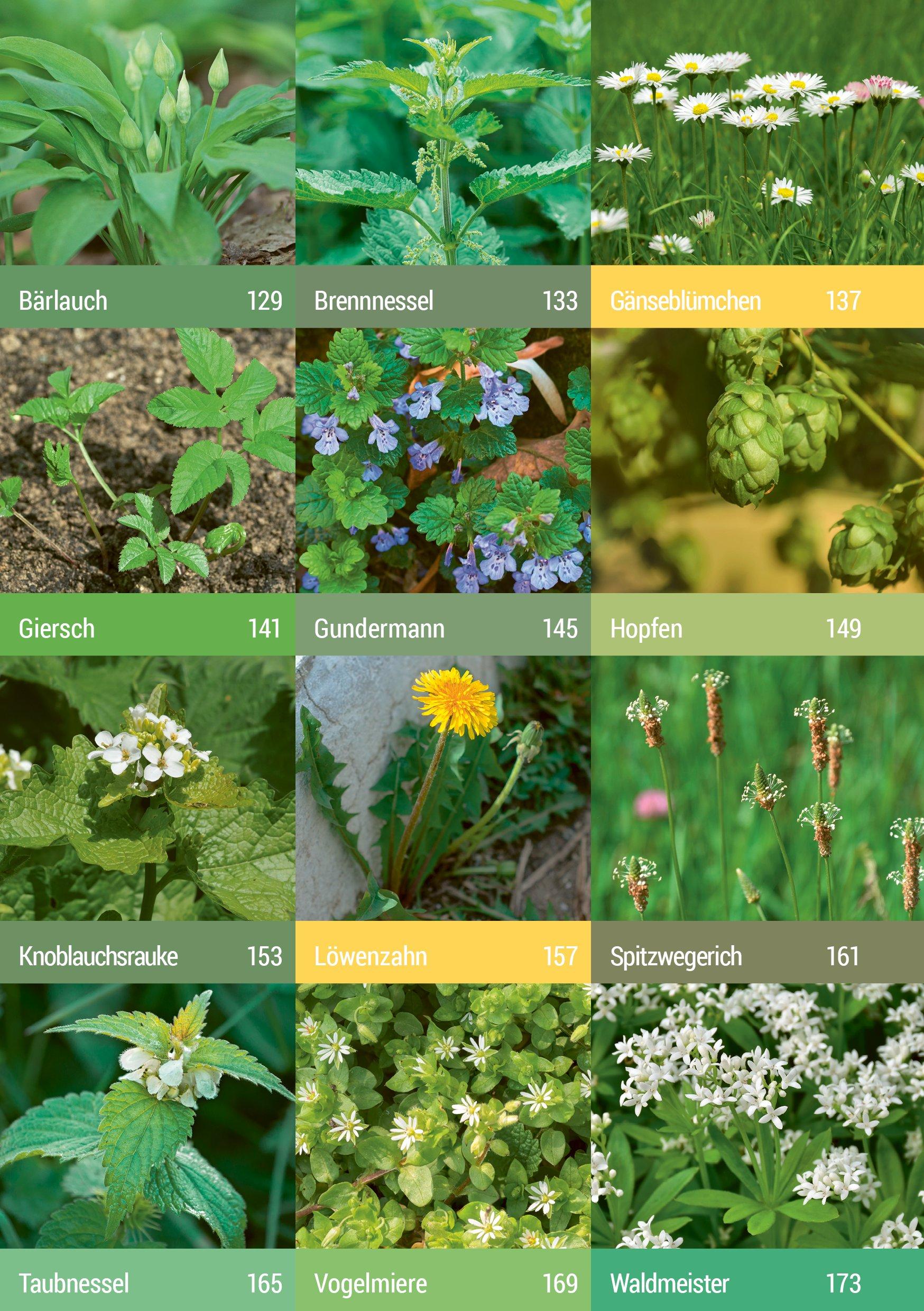 Beispielinhalt (Bild) Geh raus! Deine Stadt ist essbar