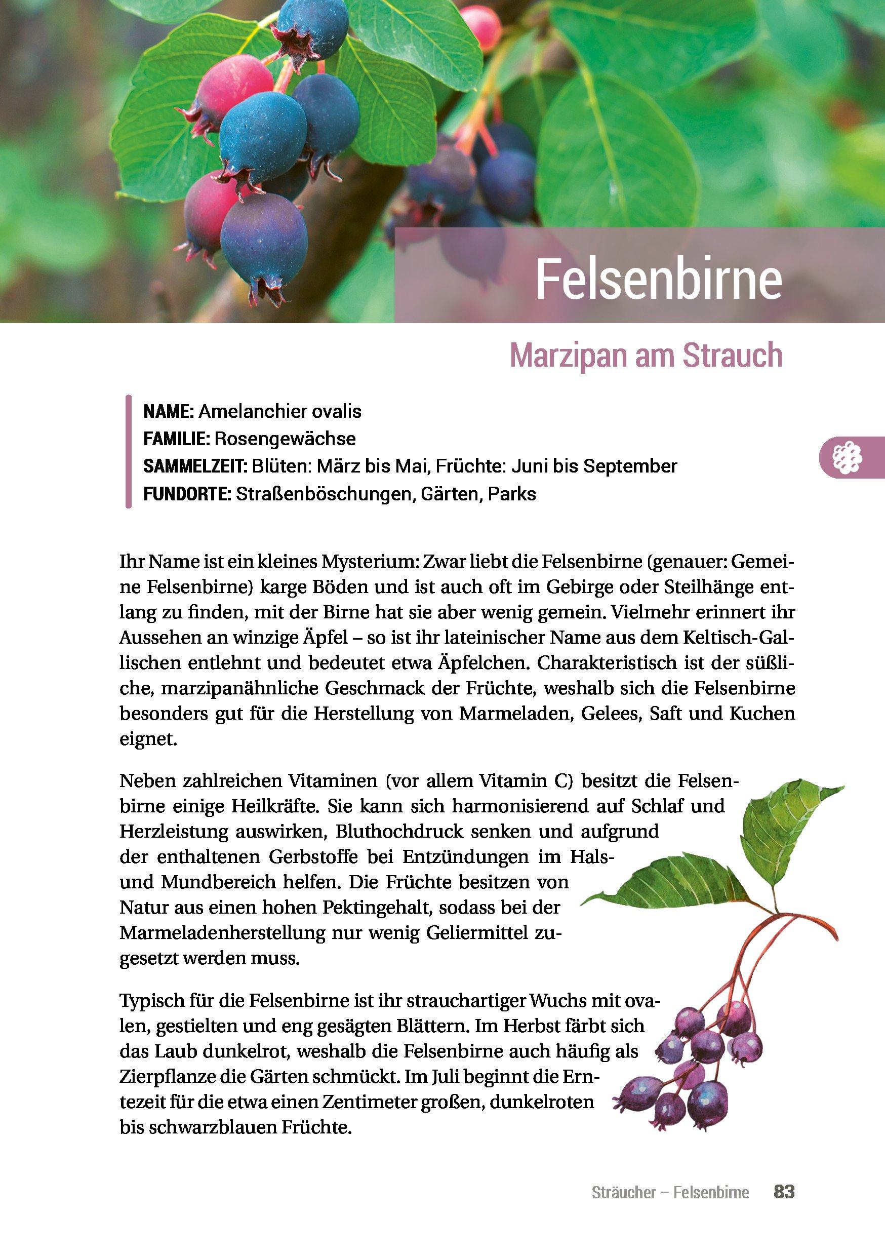 Beispielinhalt (Bild) Geh raus! Deine Stadt ist essbar