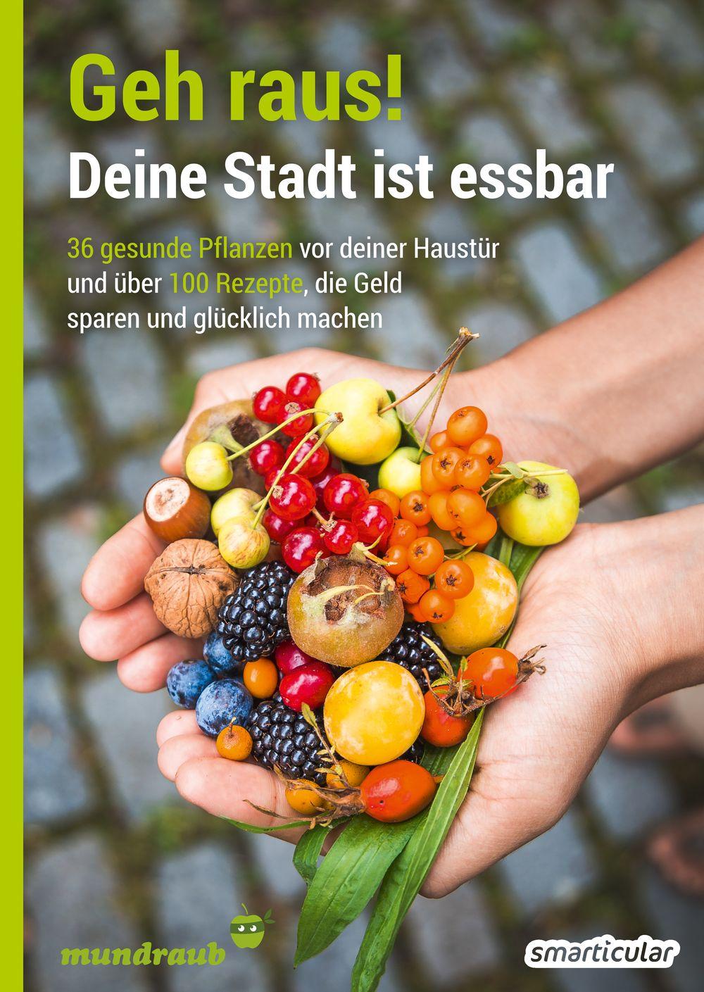 Vorderes Coverbild Geh raus! Deine Stadt ist essbar