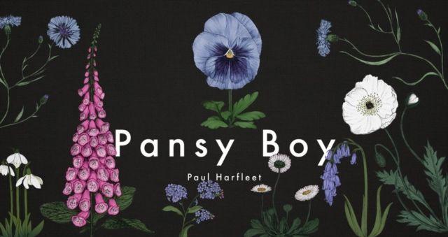 Vorderes Coverbild Pansy Boy