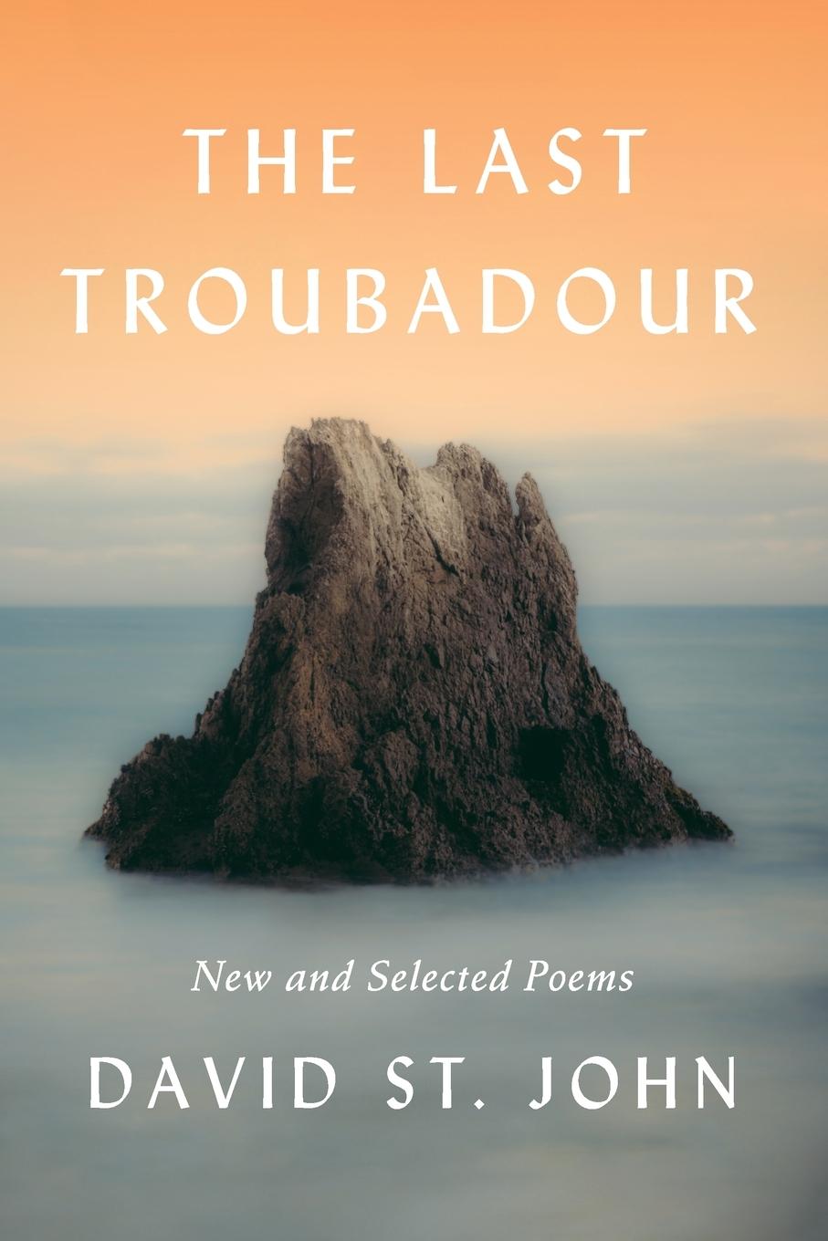 Vorderes Coverbild Last Troubadour, The