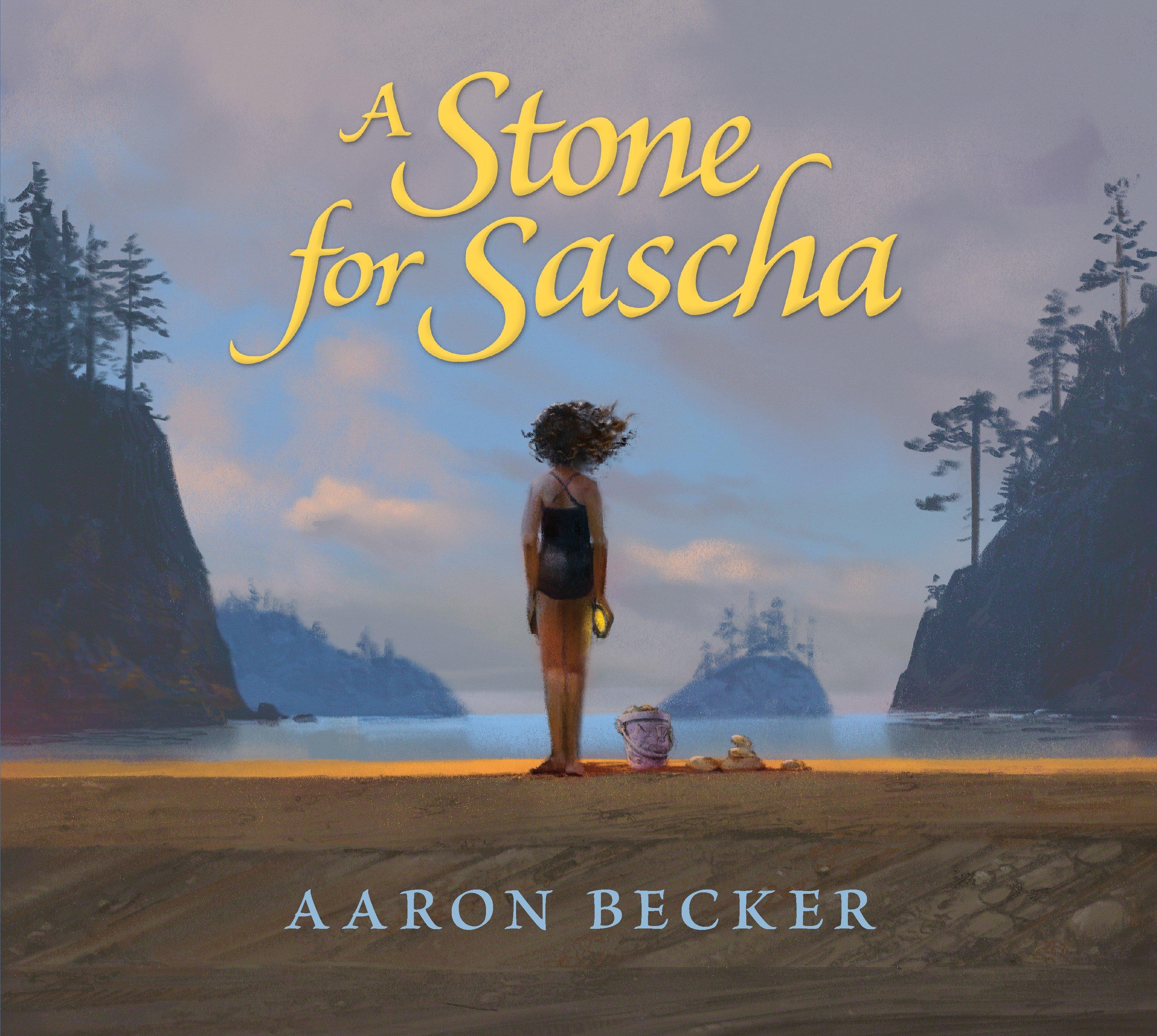 Vorderes Coverbild A Stone for Sascha
