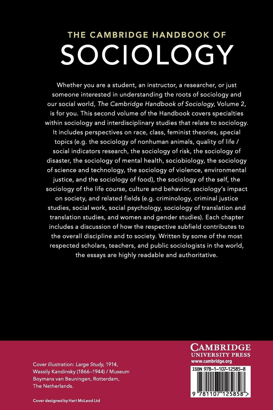 Rückseitencover The Cambridge Handbook of Sociology
