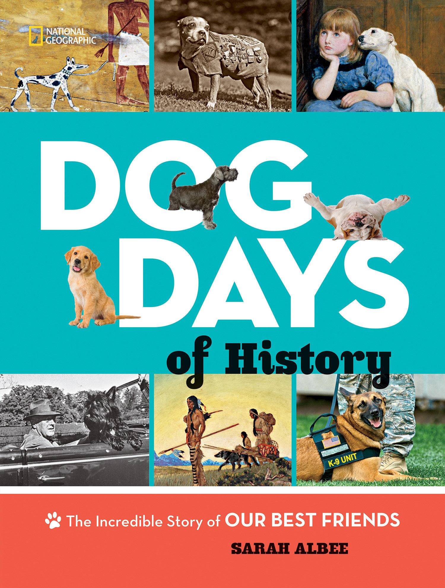 Vorderes Coverbild Dog Days of History