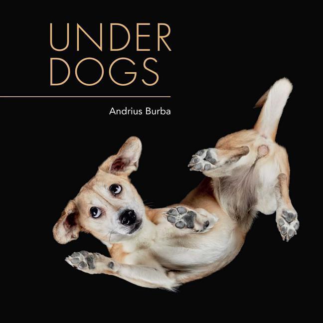 Vorderes Coverbild Under Dogs