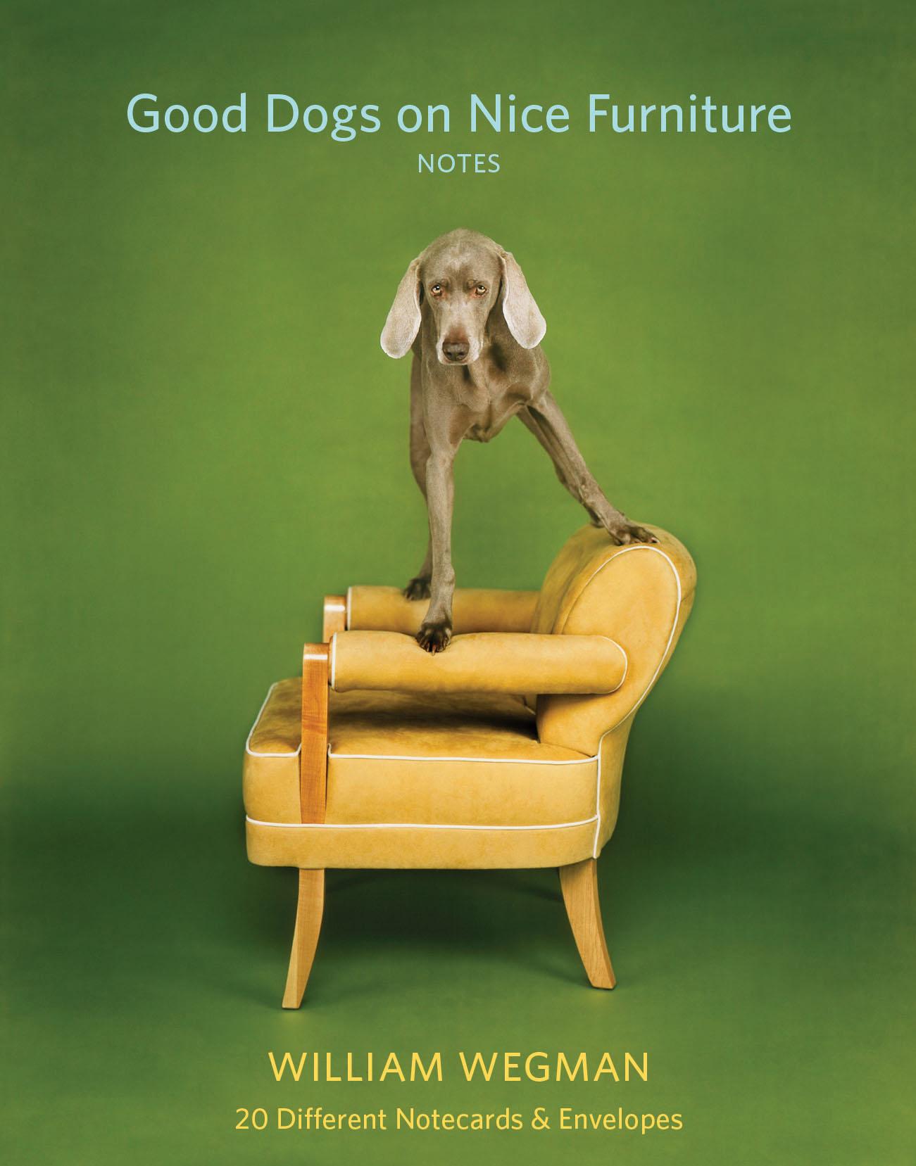Vorderes Coverbild Good Dogs on Nice Furniture Notes