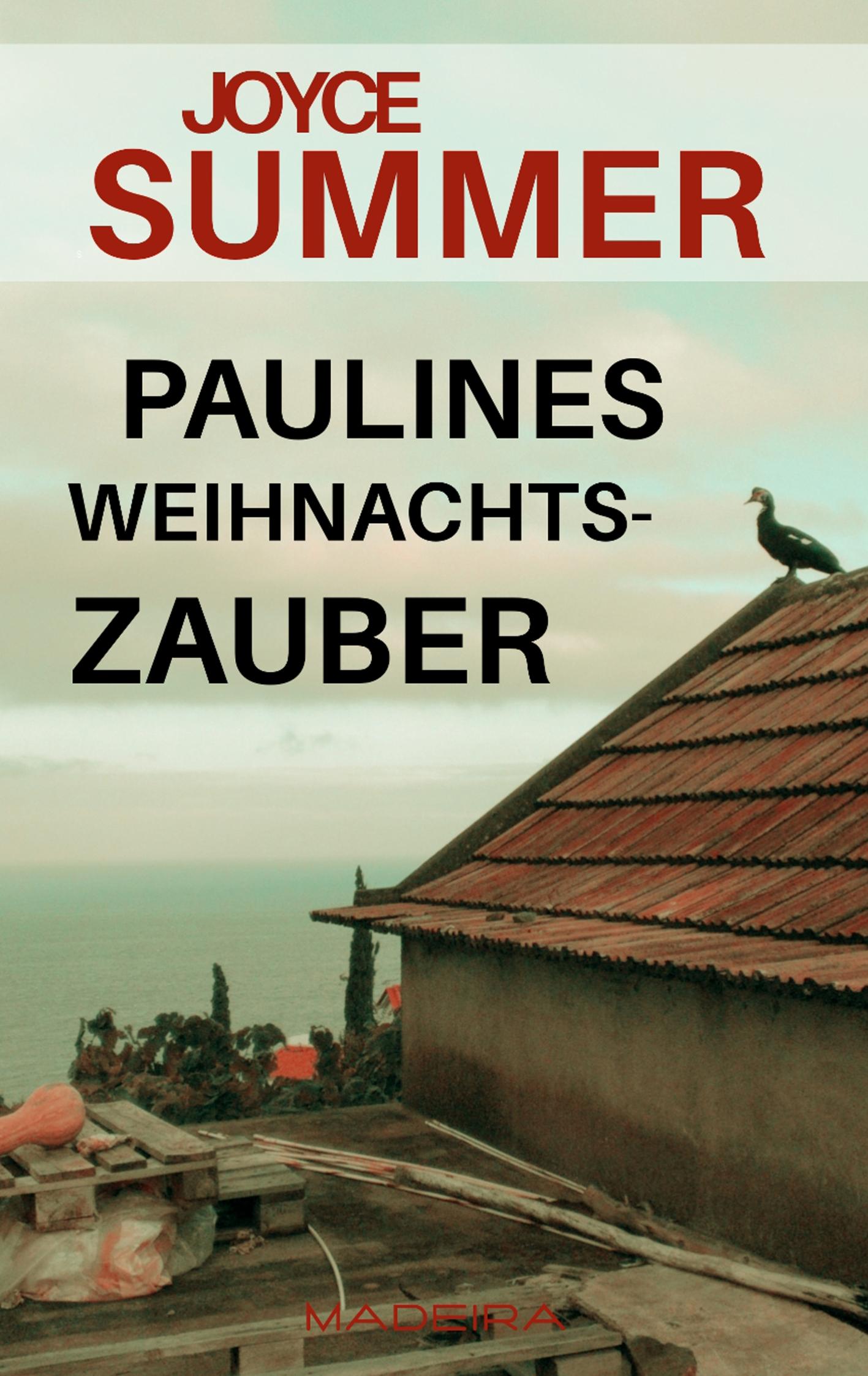 Vorderes Coverbild Paulines Weihnachtszauber